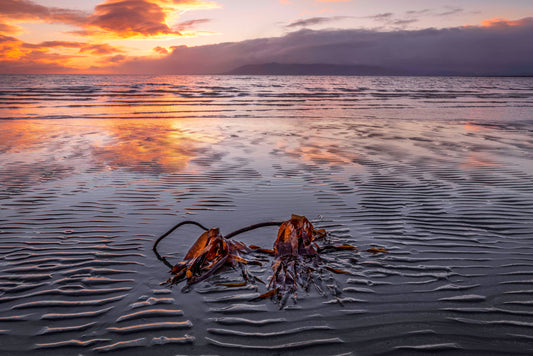 Minerstown Beach