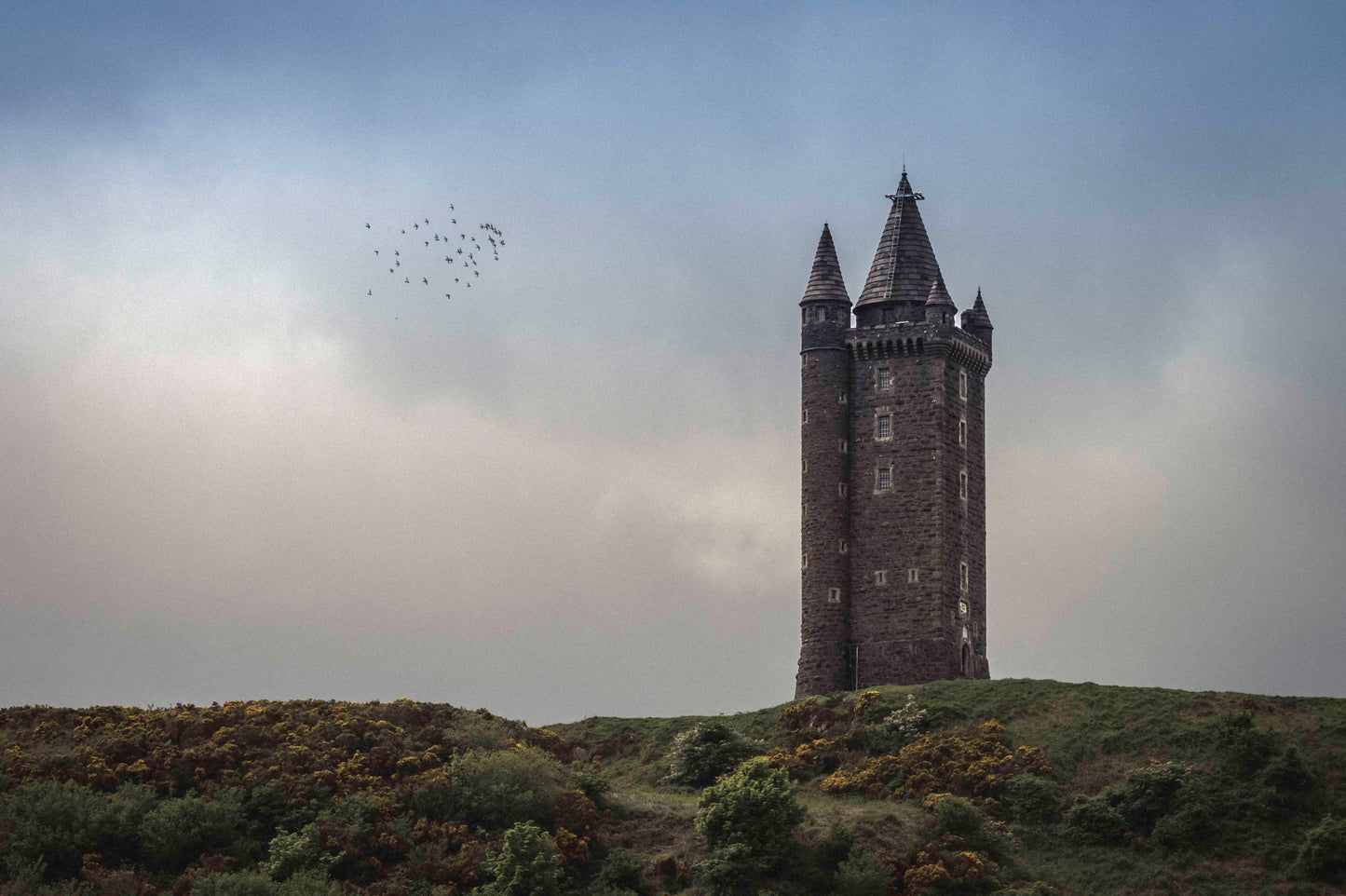 Scrabo Tower