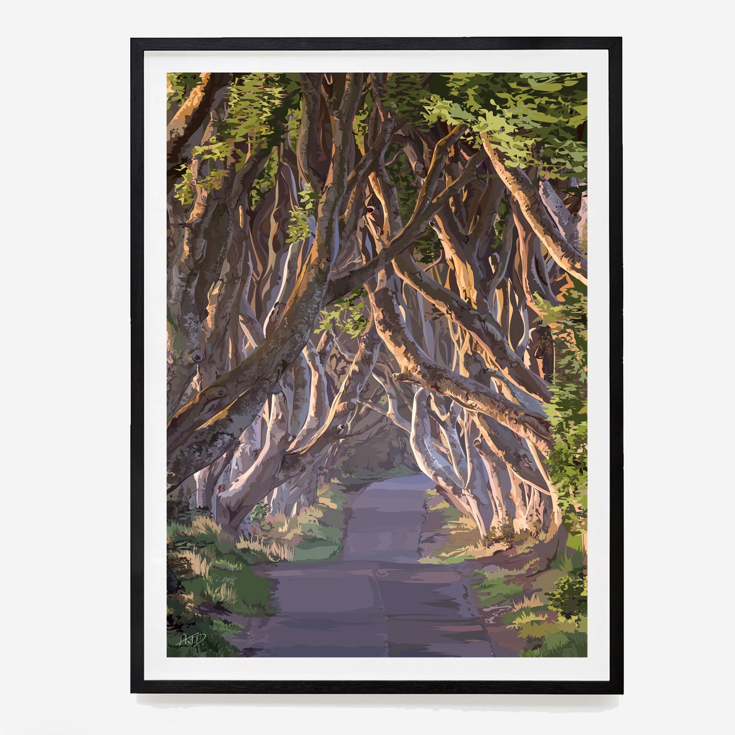 The Dark Hedges