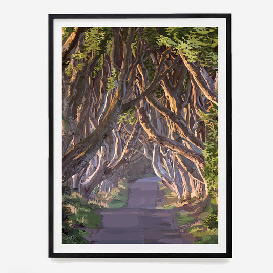 The Dark Hedges