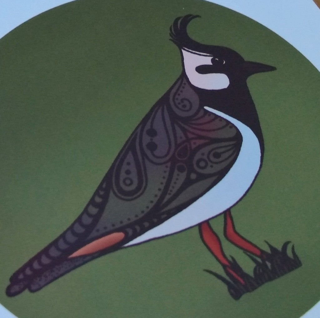 Lapwing Birds of Ireland Card