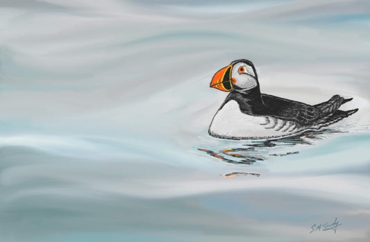 Puffin, Rathlin, Chillin