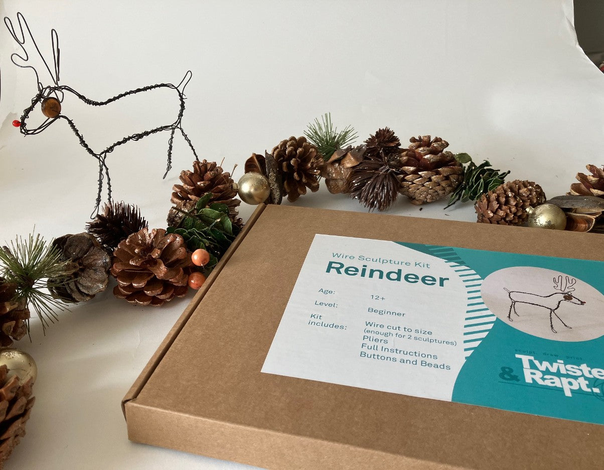 Reindeer Wire Sculpture Kit