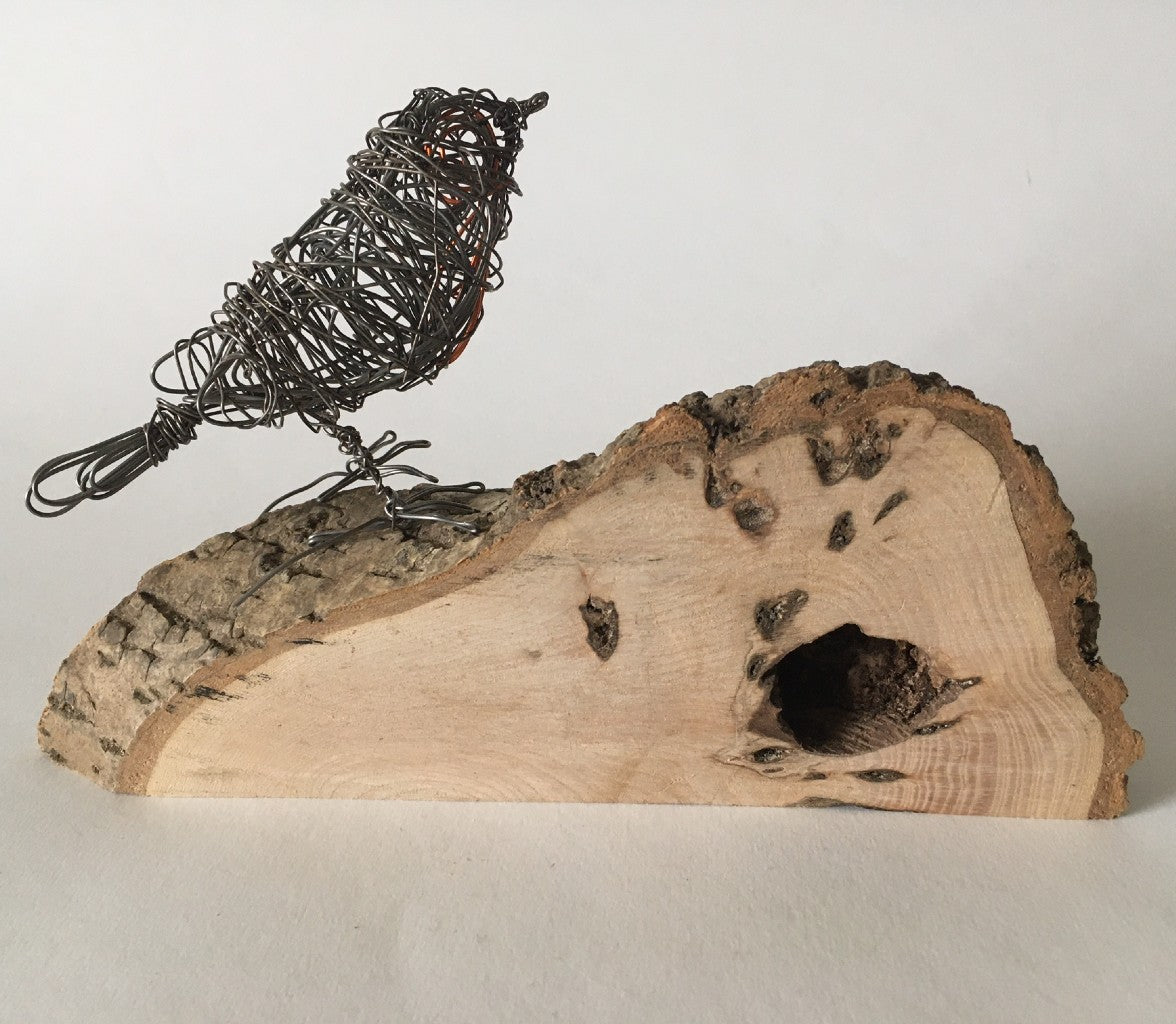 Robin Wire Sculpture Kit